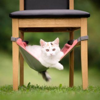 HAMMOCKS FOR CATS
